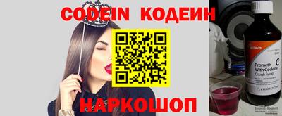 шишки Камышлов