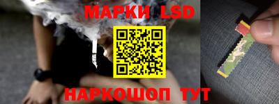 индика Кандалакша
