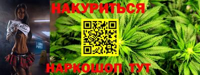 индика Кандалакша