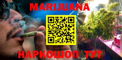 индика Кандалакша