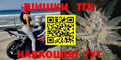шишки Камышлов