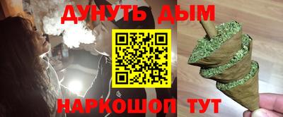 индика Кандалакша