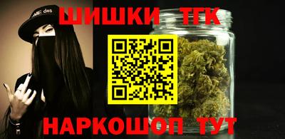 шишки Камышлов