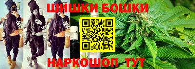 индика Кандалакша