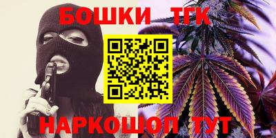шишки Камышлов
