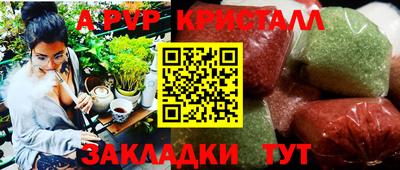 шишки Камышлов